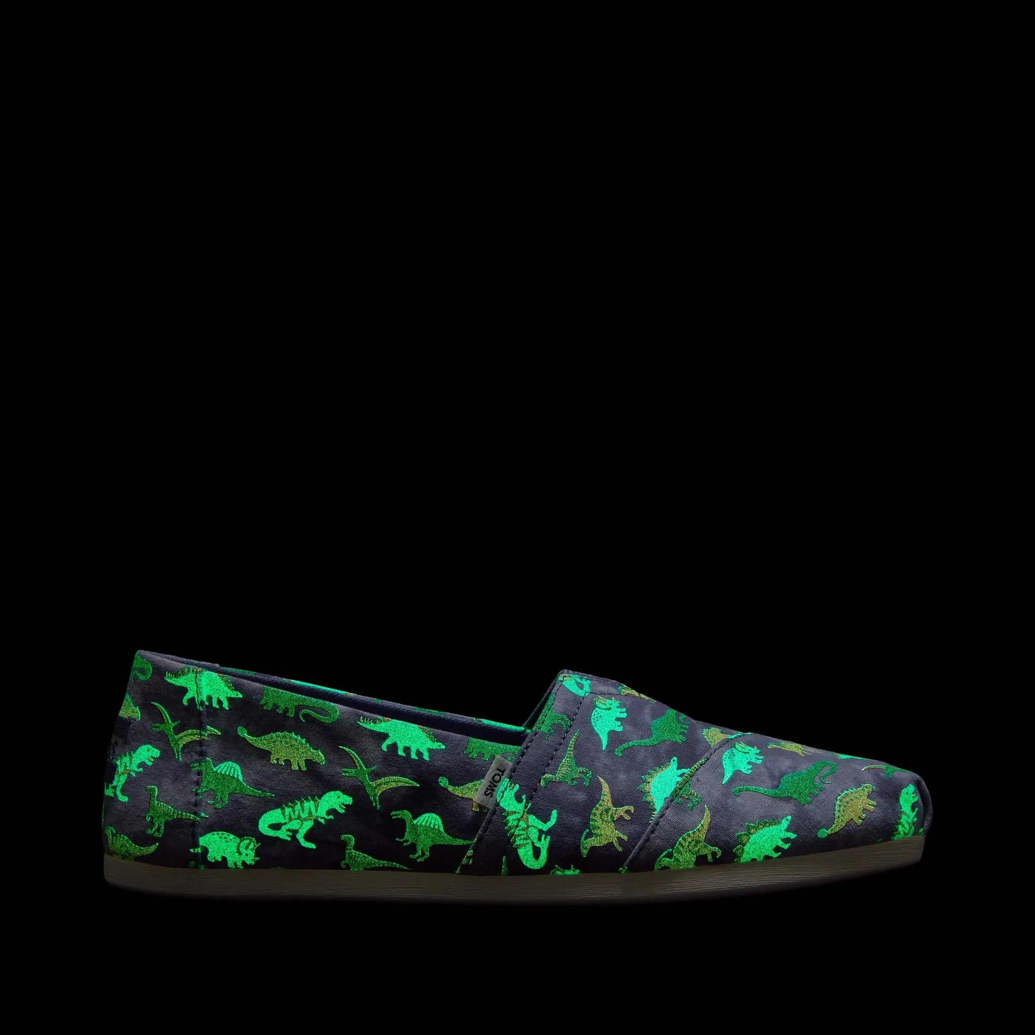 Alpargata Glow in the Dark Dino Print Bold Flow