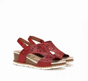Women Gold Sandal In Texas Carmin Bronze Base