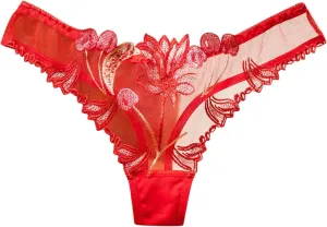 Embroidered Womens Underwear See Through Mesh Panties Butt Lifting Sexy Briefs Cheeky Sheer Bikini Panties Hipsters
