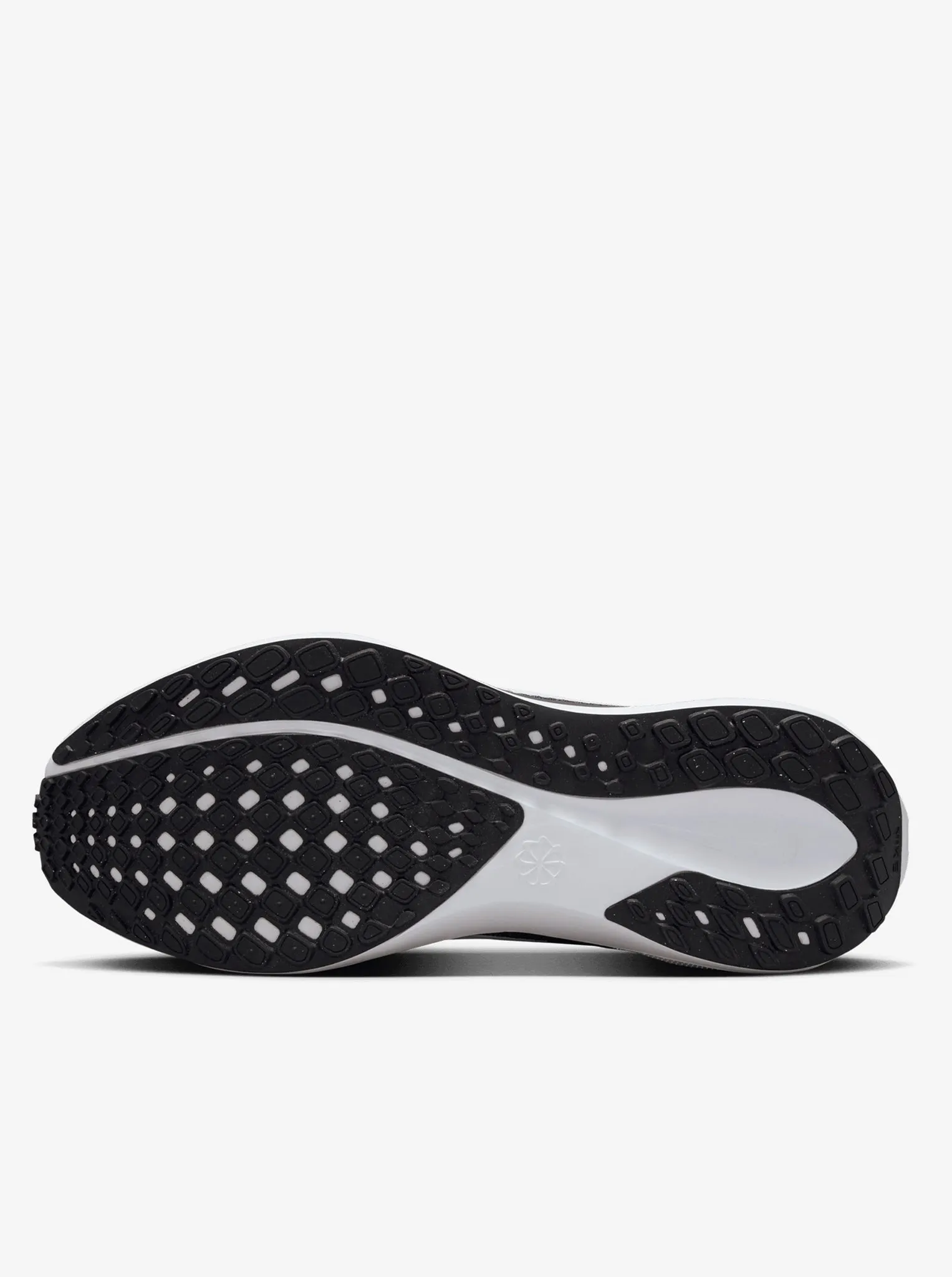 Giant pattern Pegasus 41 Womens