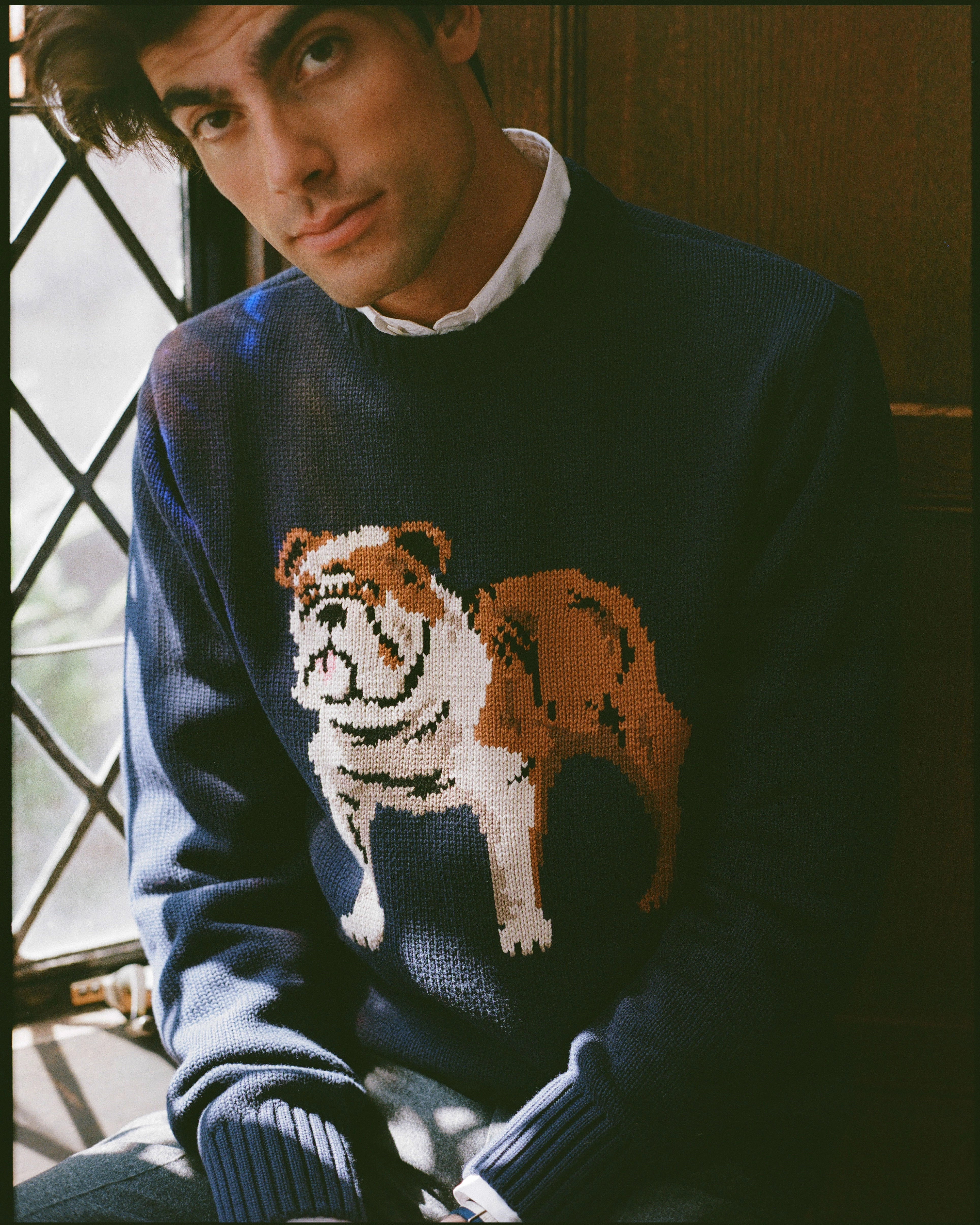 Thermal Insulation Technology Comfy Fashion Bulldog Intarsia Knit Cotton Sweater