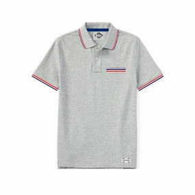 Layering Comfort Chic and Soft Lee Cooper Grey Men Stripe Collar Polo