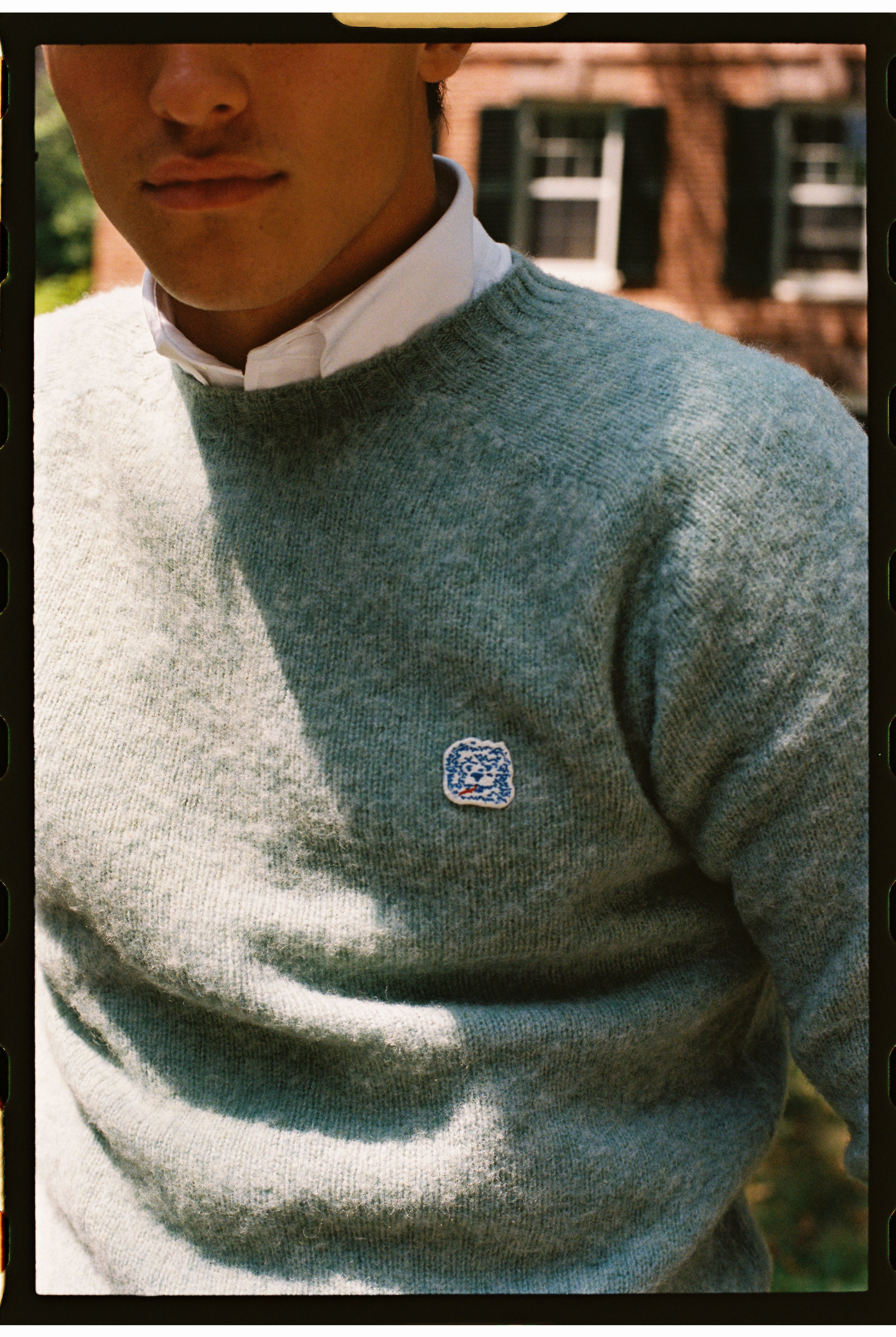 Knitted Fashion Winter Comfort Wear Made-in-Scotland *LIMITED EDITION* Pale Blue Shaggy Dog Icon Sweater  - Trim Fit
