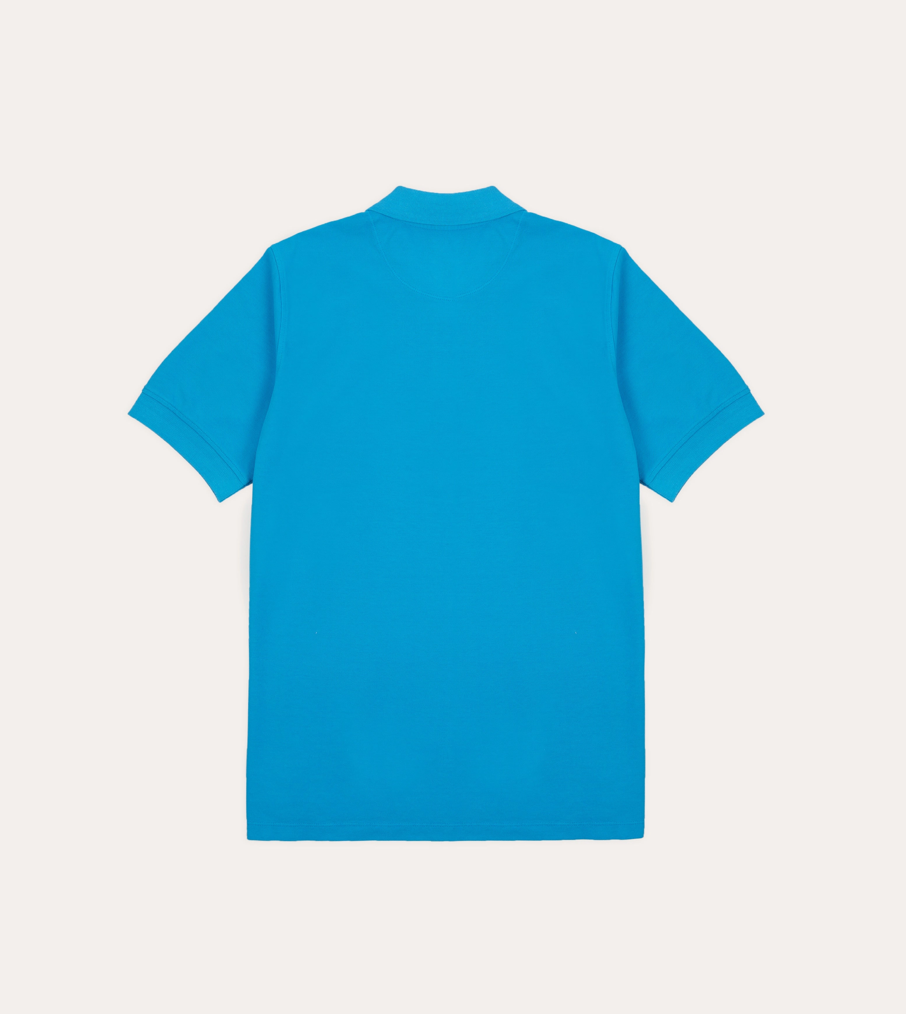 Sky Blue Piqu?? Cotton Polo Shirt Earthy Tones