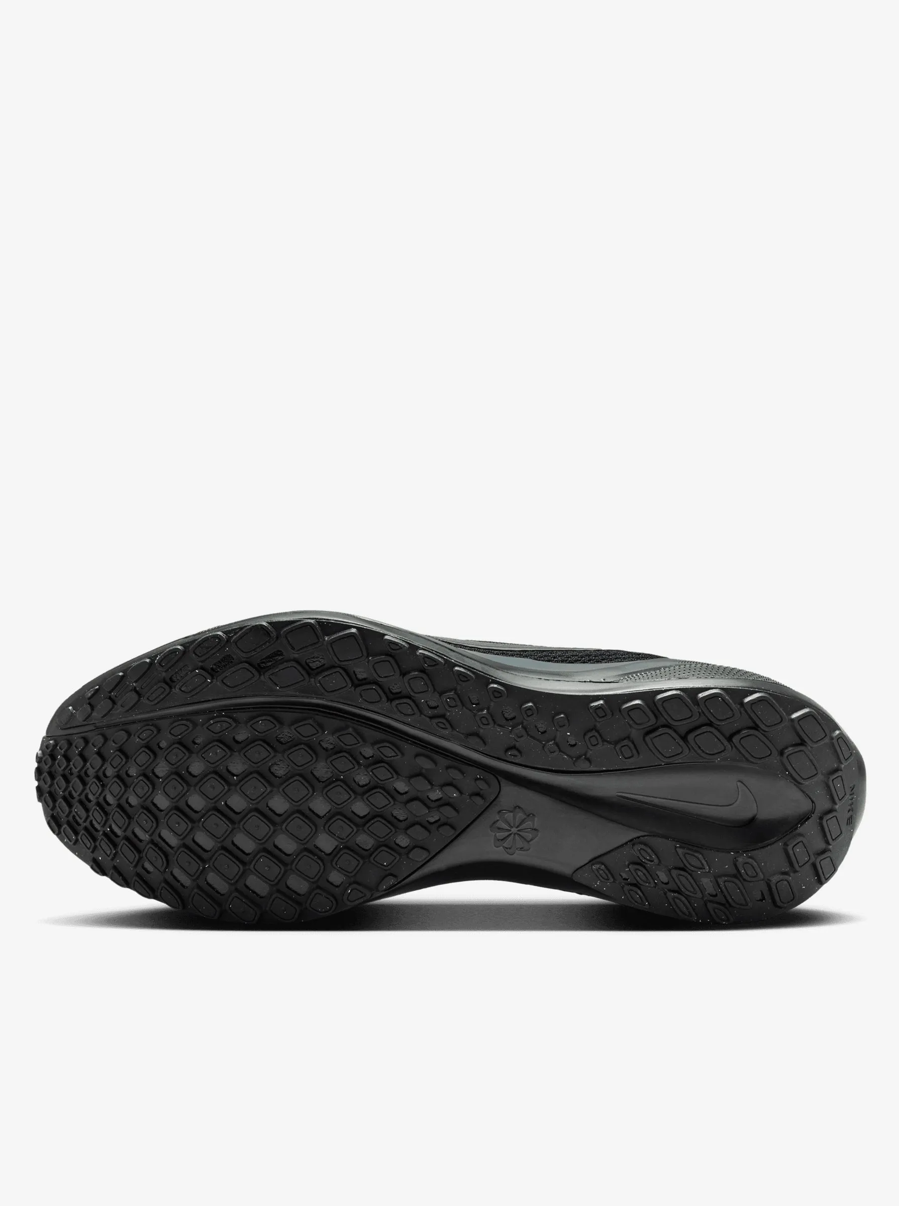 Jogging Pegasus 41 Womens