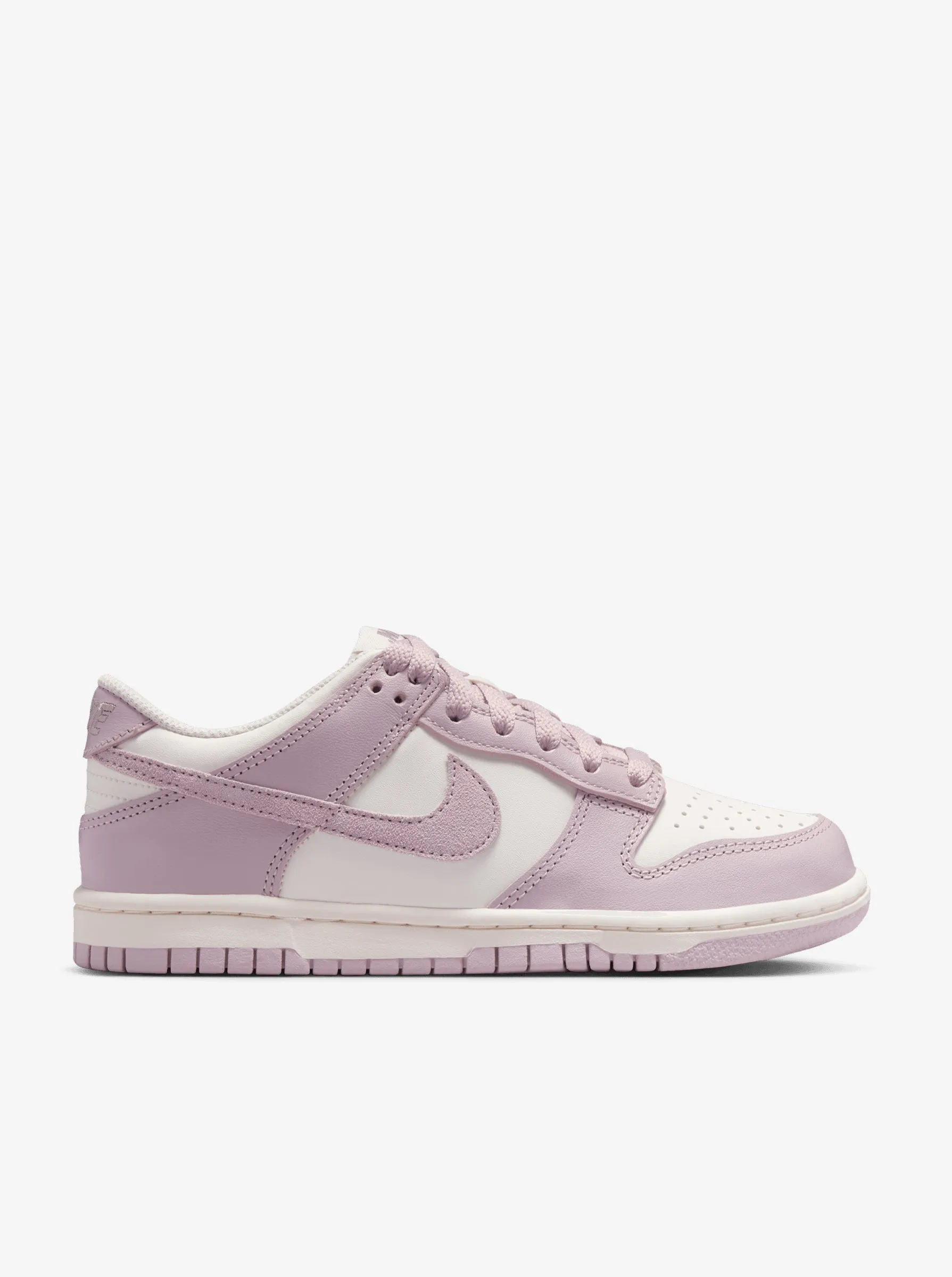 Fresh materials Dunk Low Youth
