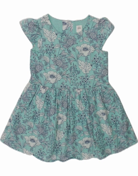 Gentle Motion GAP Girls A-Line Dress 2-3 Years Blue Floral Cotton